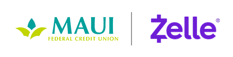 Zelle Lock Up Logo